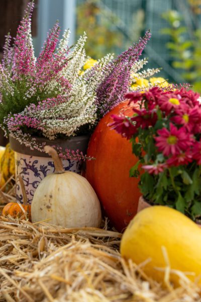 Gourmetmenü Herbstzauber 10. Oktober 2026