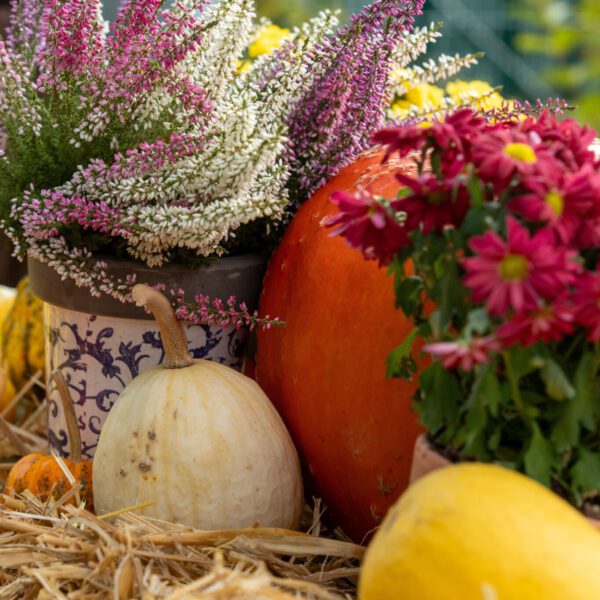 Gourmetmenü Herbstzauber 10. Oktober 2026